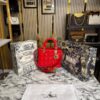 CHRISTIAN DIOR LADY PREMIUM BAG WITH OG BOX AND CARRY BAG