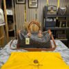 GOYARD DUFFLE BROWN