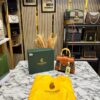GOYARD SAIGON PREMIUM BAG WITH OG BOX